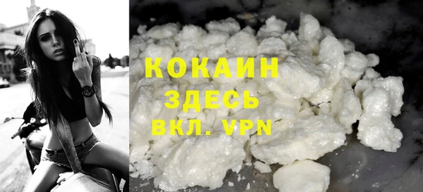 индика Видное
